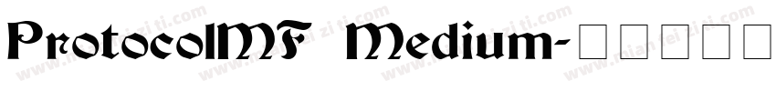 ProtocolMF Medium字体转换